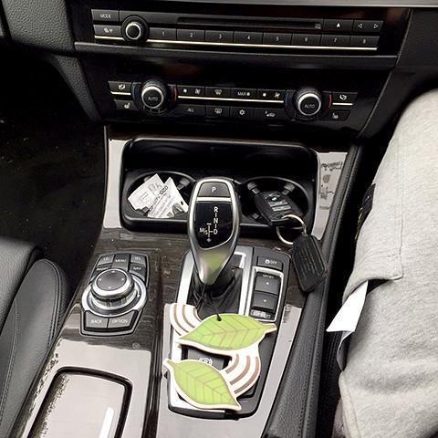 Air Freshener-EmojiFresh